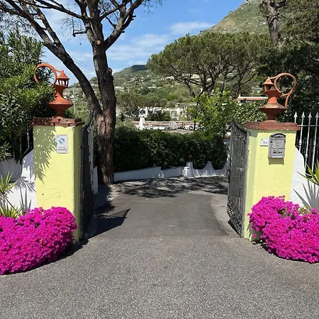 Park Calitto Hotel Forio (Isola d'Ischia)