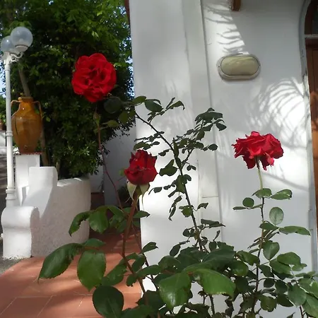 Hotel Park Calitto