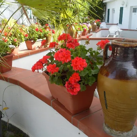 Hotel Park Calitto Forio (Isola d'Ischia)