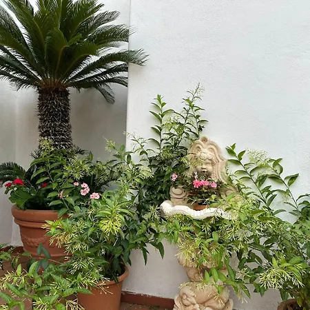 Park Calitto 3* Forio di Ischia