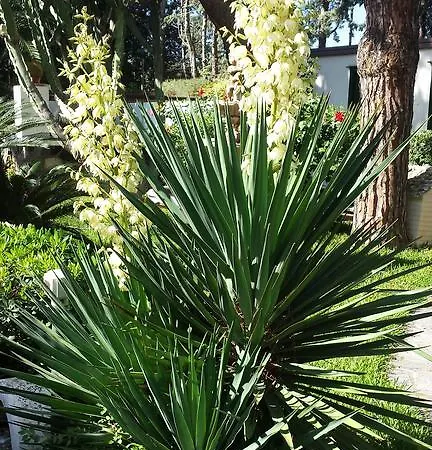 Hotel Park Calitto 3*