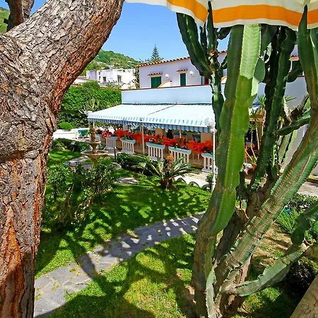 Park Calitto